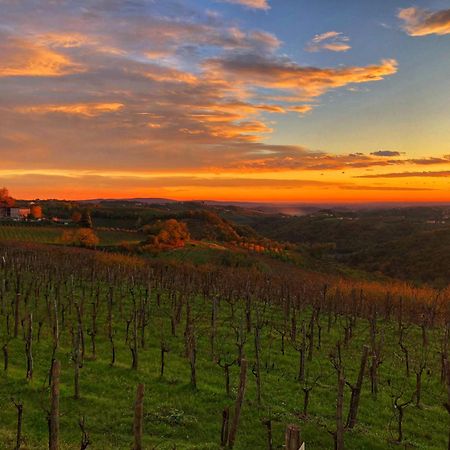 Peterc Vineyard Estate Bed and Breakfast Kojsko Εξωτερικό φωτογραφία