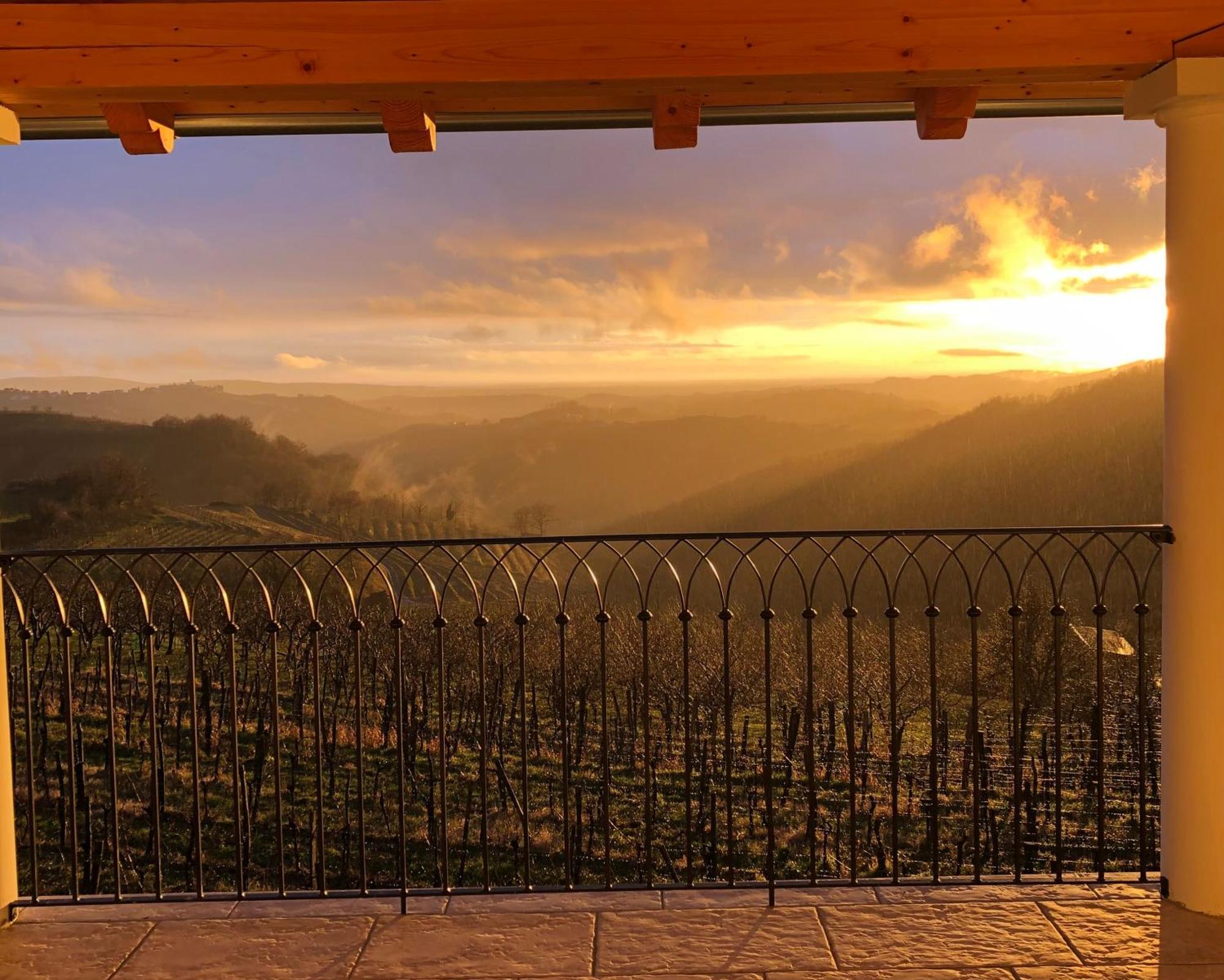 Peterc Vineyard Estate Bed and Breakfast Kojsko Εξωτερικό φωτογραφία