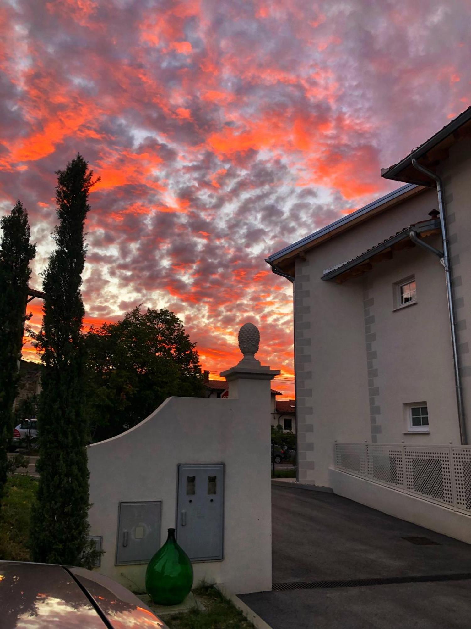 Peterc Vineyard Estate Bed and Breakfast Kojsko Εξωτερικό φωτογραφία