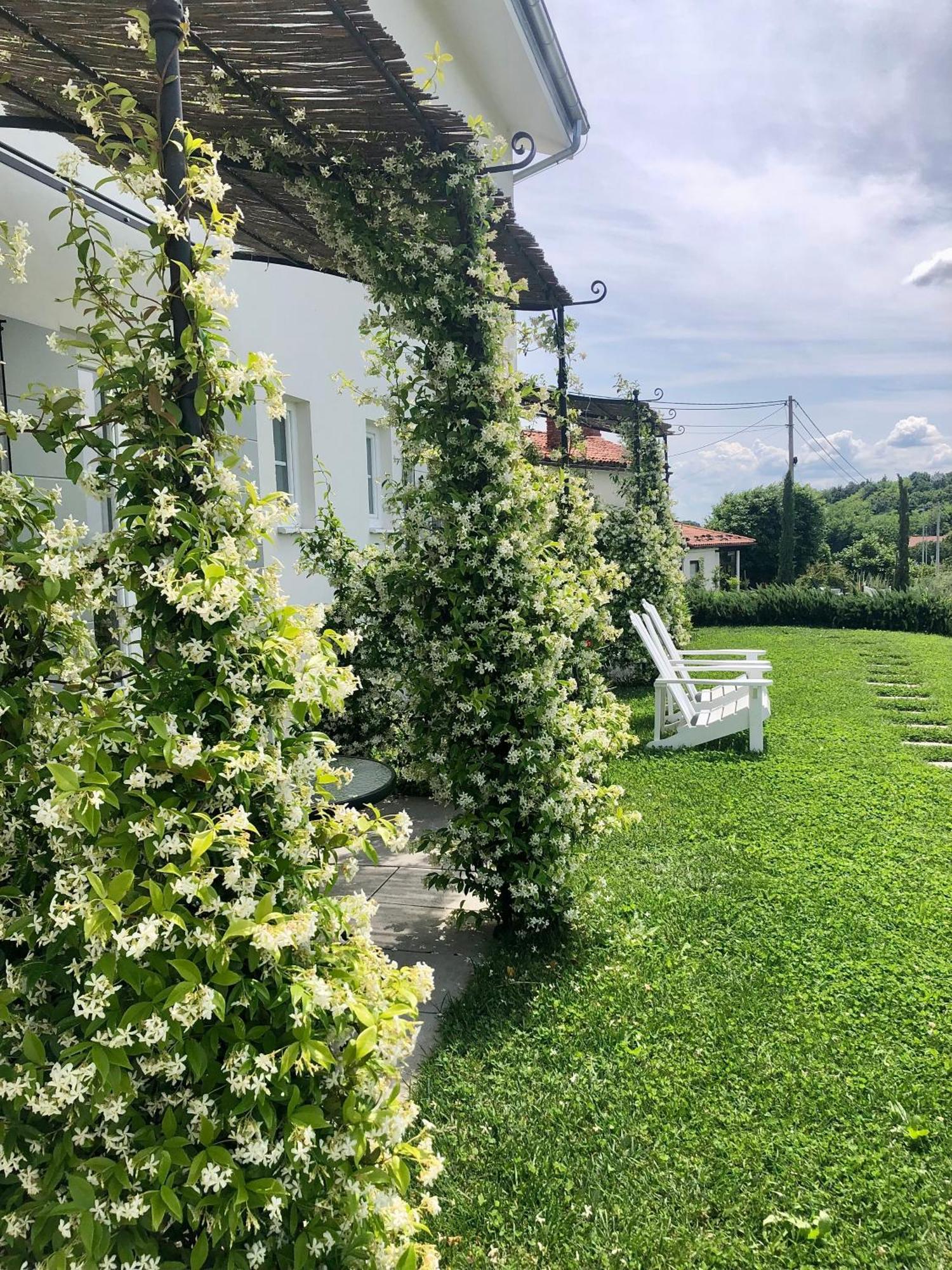 Peterc Vineyard Estate Bed and Breakfast Kojsko Εξωτερικό φωτογραφία
